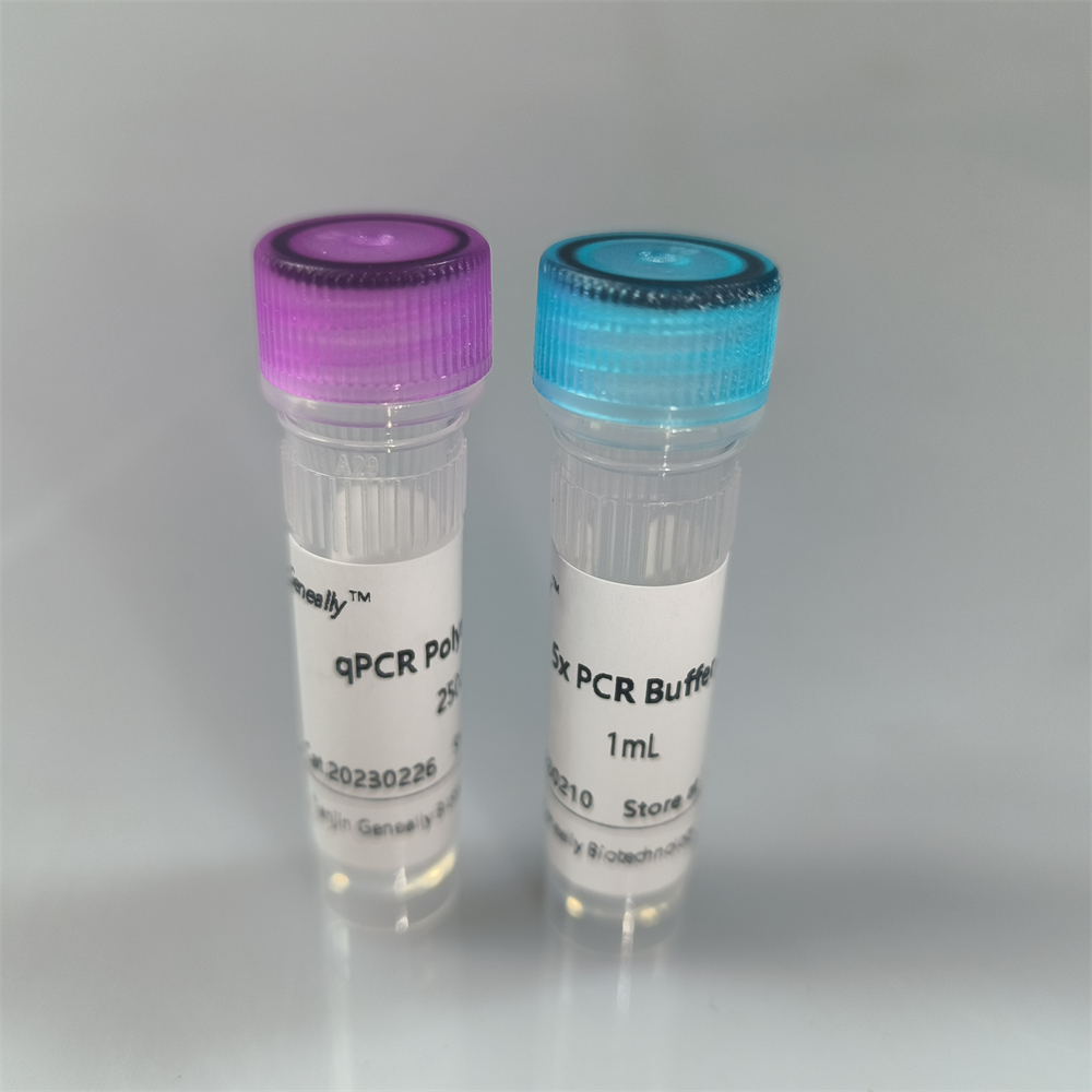 qPCR Polymerase